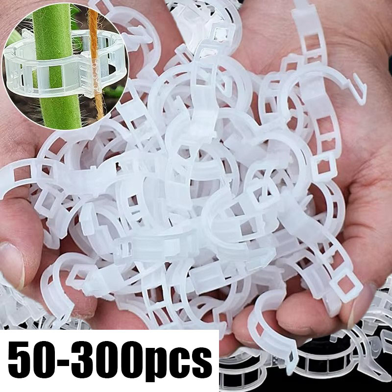 Gardening Tools For Vines - 50-300PCS Plant Ondersteuning Clips Herbruikbare Plastic