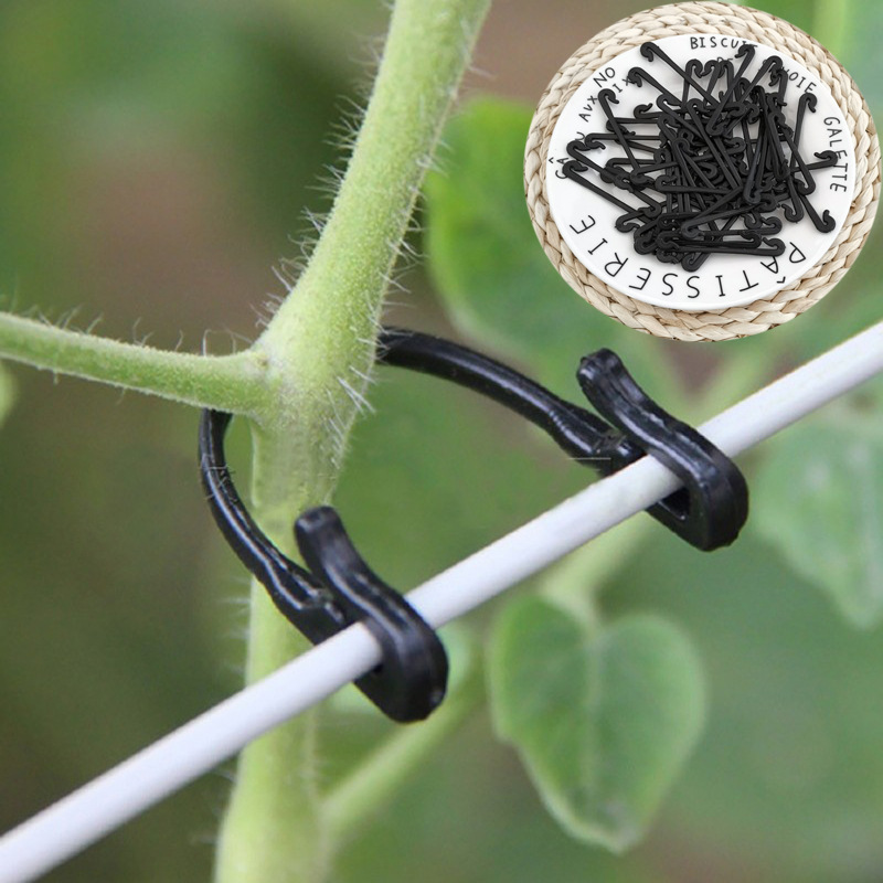 Gardening Tools For Vines - 50PCS Wijnstokken Sluiting Gebonden Clips Gesp