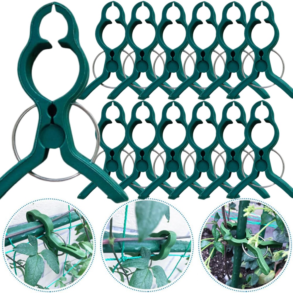 Gardening Tools For Vines - 50/10PCS Plant Groente Ondersteuning Enten Clips