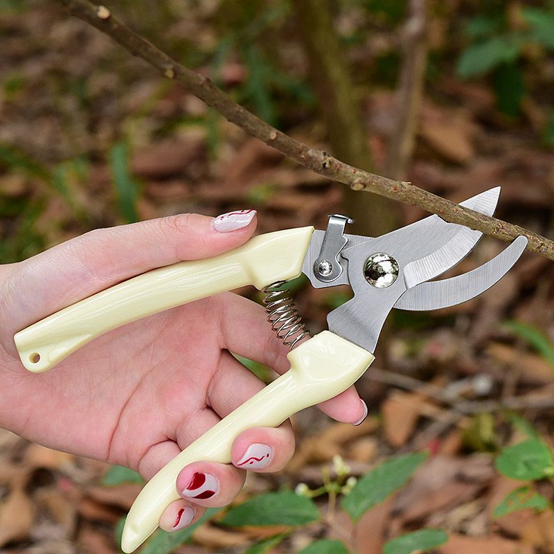 Gardening Tool Diy - Arbeidsbesparende tuinsnoeischaar, professionele handknipper voor het