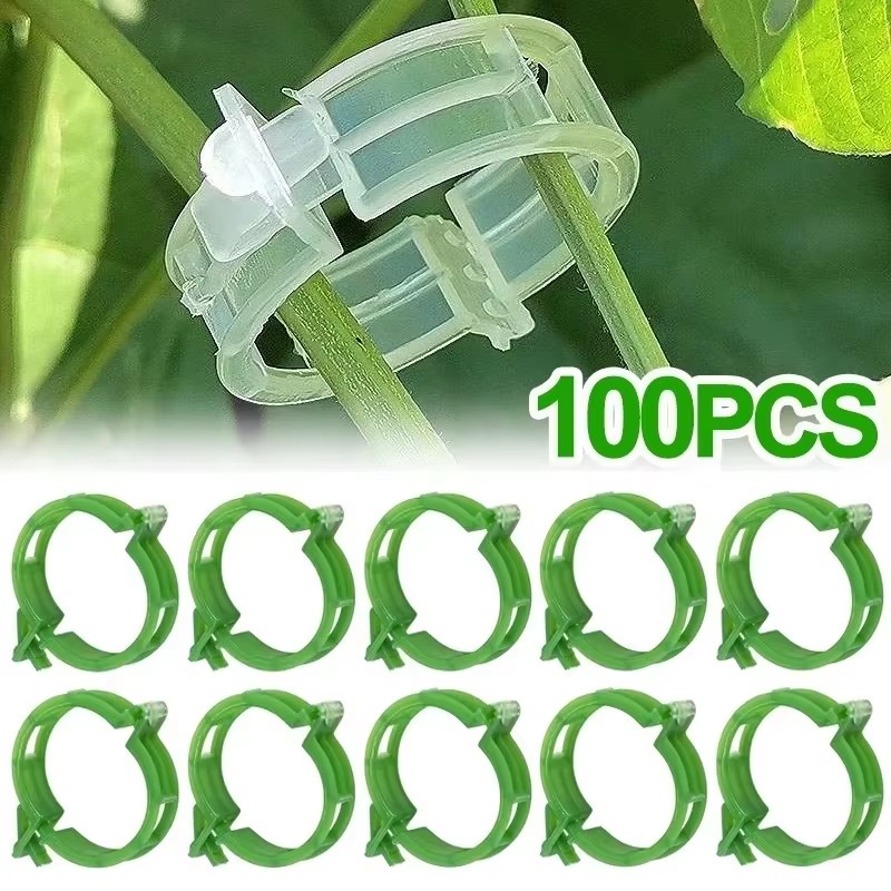 Gardening Tools For Vines - 50-250 stuks plastic plantensteunclips, herbruikbaar, voor