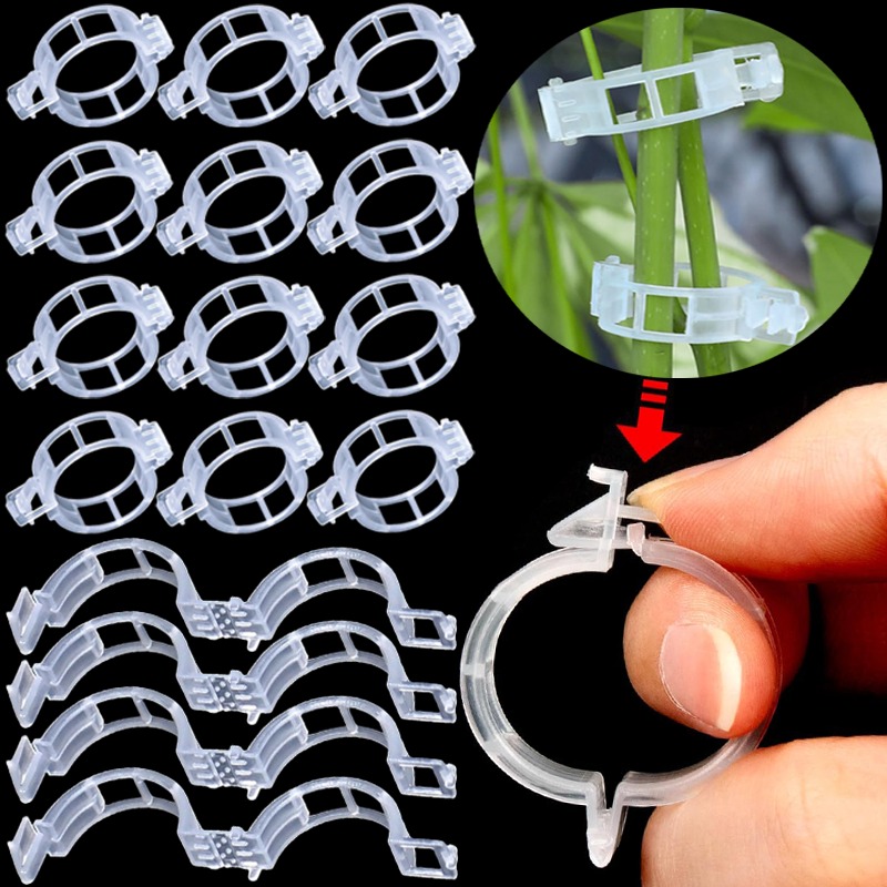 Gardening Tools For Vines - 300/50PCS Plant Ondersteuning Clips Herbruikbare Plastic