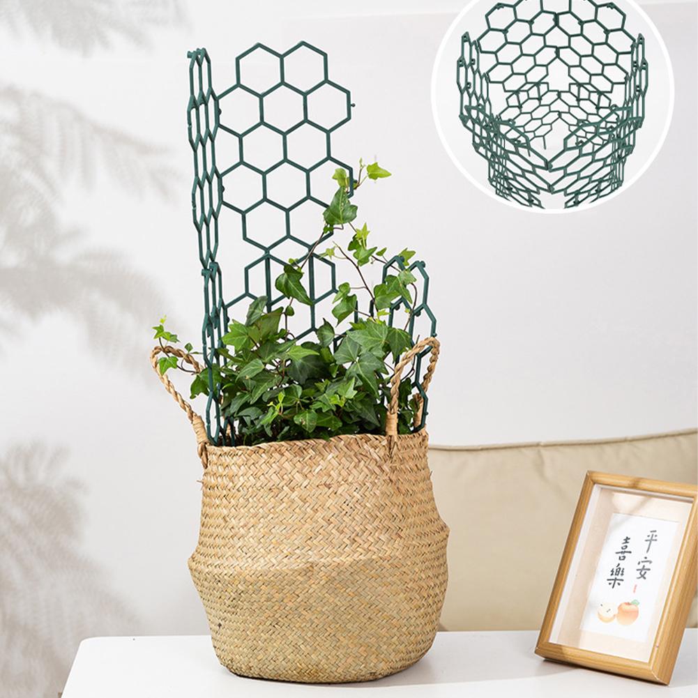 1/2/5 Stuks Plastic Plant Onde - Gardening Tools For Vines recensie en prijs