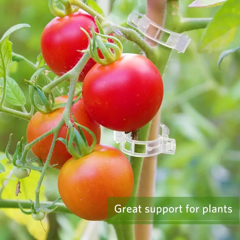 50-300PCS Plant Ondersteuning  - Gardening Tools For Vines recensie en prijs