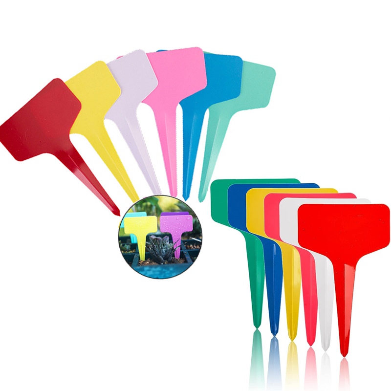 50/100 Tuinplanten Etiket Plan - Gardening Tool Diy recensie en prijs