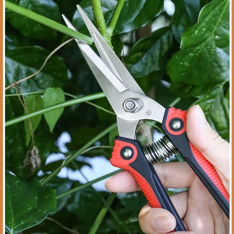 NEWSHARK Roestvrijstalen snoei - Gardening Tools Pink recensie en prijs