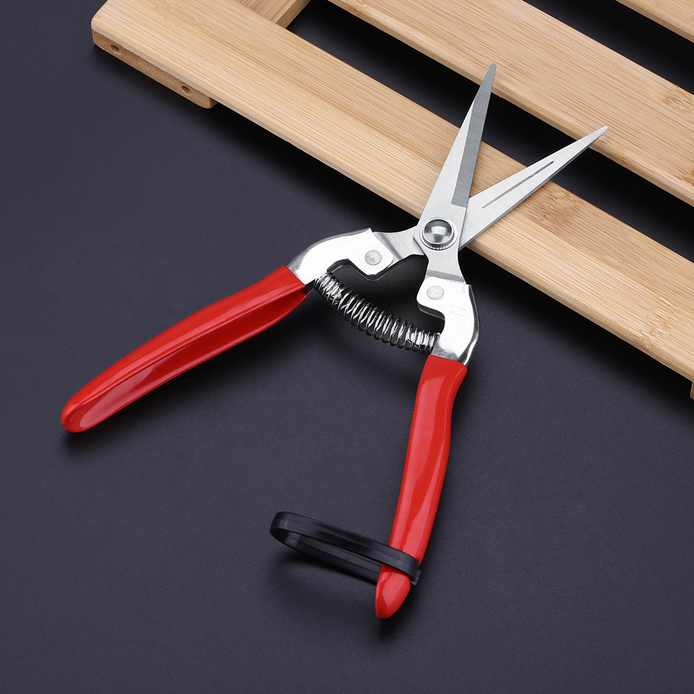 Stevige Fruitboom Bonsai Tuini - Gardening Tools Pink recensie en prijs