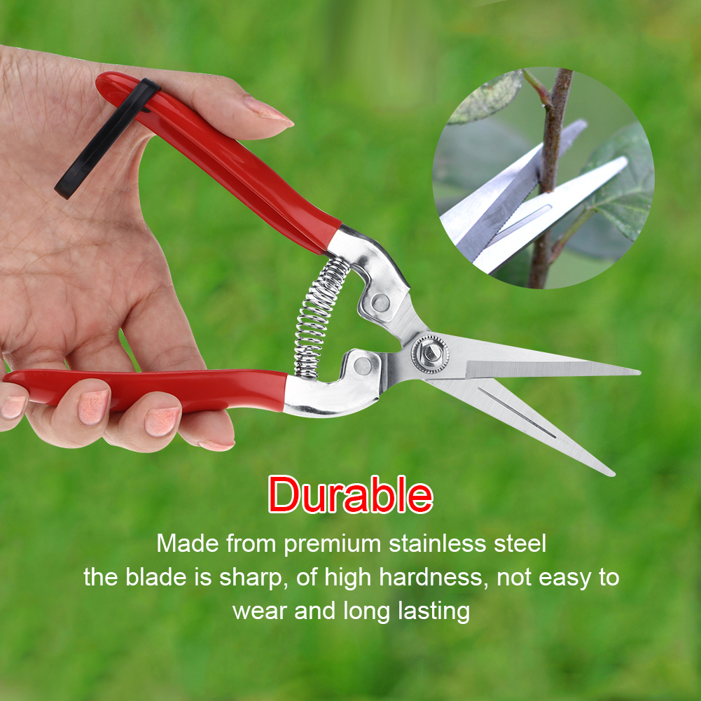 Stevige Fruitboom Bonsai Tuini - Gardening Tools Pink recensie en prijs
