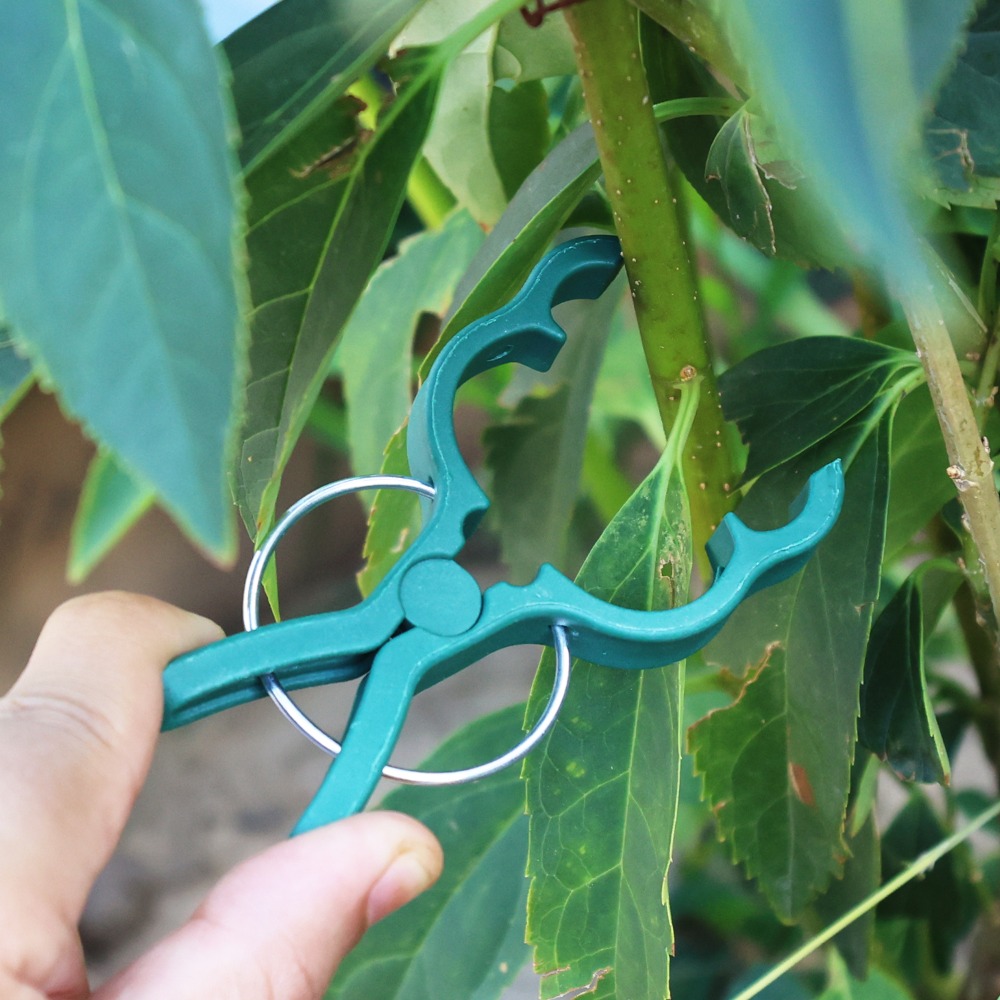50/10PCS Plant Groente Onderst - Gardening Tools For Vines recensie en prijs