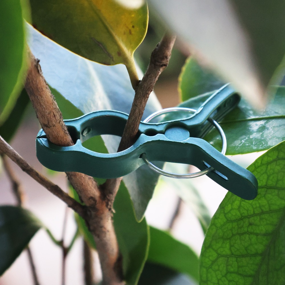 50/10PCS Plant Groente Onderst - Gardening Tools For Vines recensie en prijs