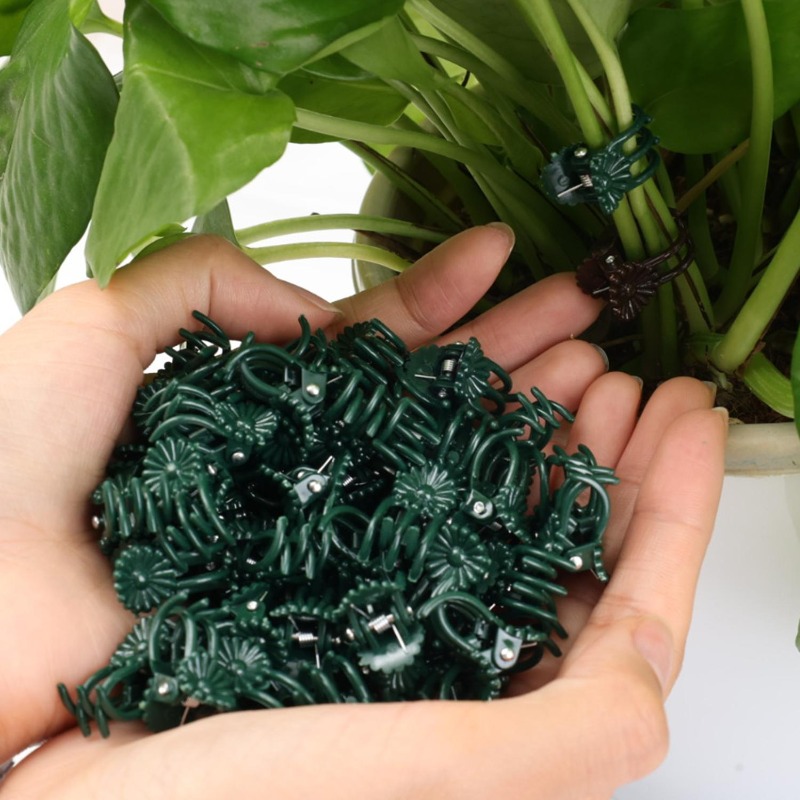 Groothandel Mini Plantensteunc - Gardening Tools For Vines recensie en prijs