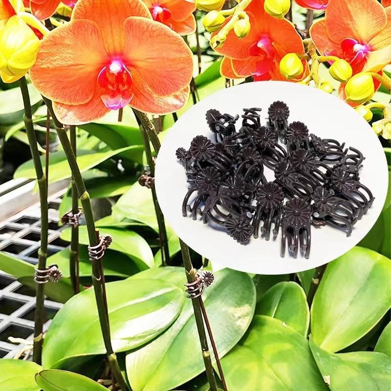Groothandel Mini Plantensteunc - Gardening Tools For Vines recensie en prijs