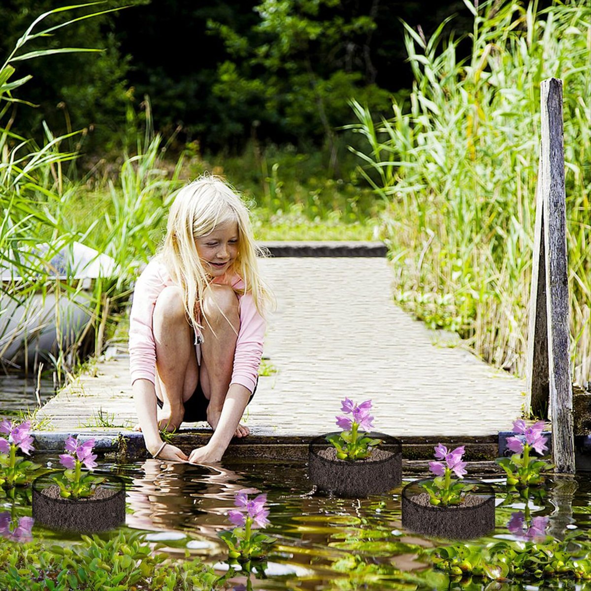 BHBL 4 stuks X Aquatische plan - Gardening Hand Tools B&Q recensie en prijs