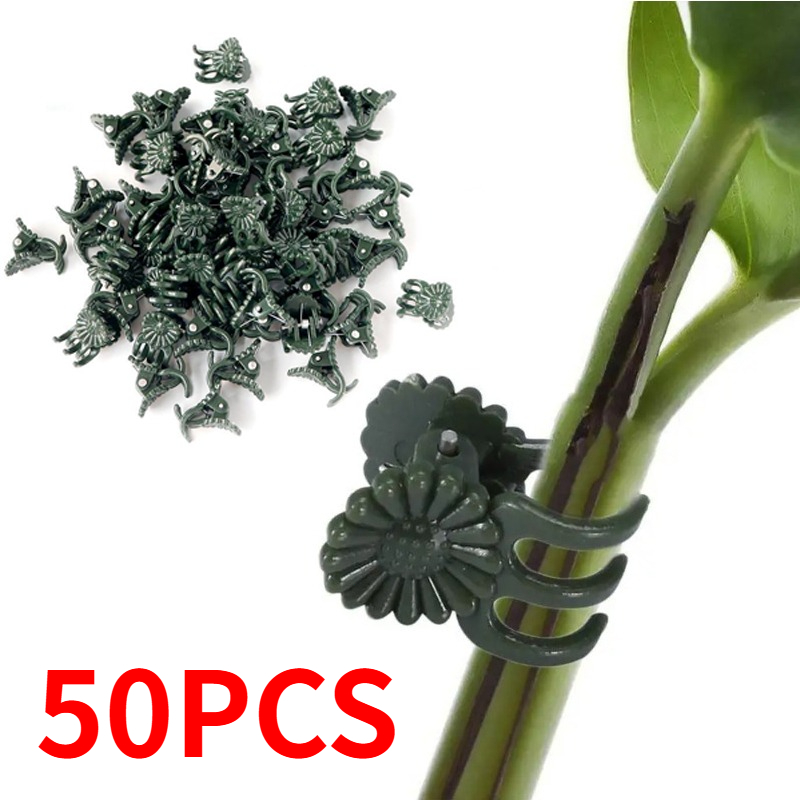 50 STUKS 5-Klauw Donkergroene  - Gardening Tools For Vines recensie en prijs