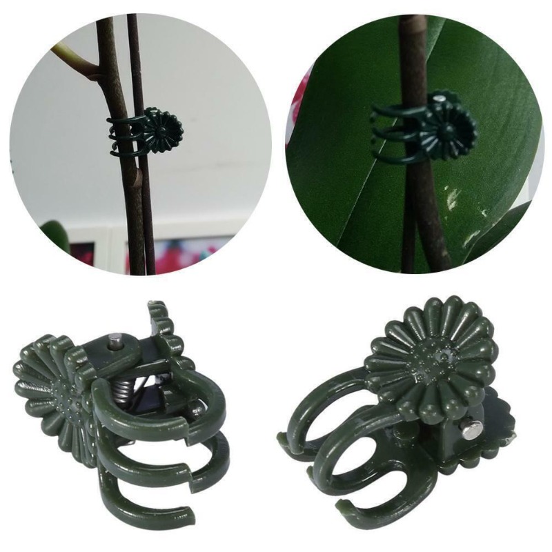 50 STUKS 5-Klauw Donkergroene  - Gardening Tools For Vines recensie en prijs