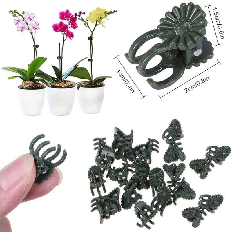 50 STUKS 5-Klauw Donkergroene  - Gardening Tools For Vines recensie en prijs