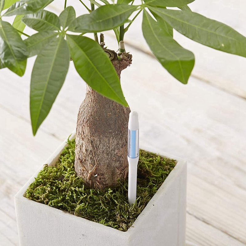 Aquameter, 5 stuks, plantenbod - Moisture Meter Plant recensie en prijs