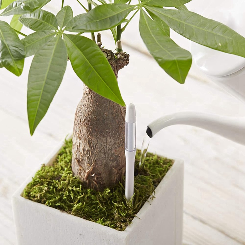 Aquameter, 5 stuks, plantenbod - Moisture Meter Plant recensie en prijs