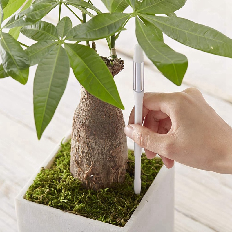 Aquameter, 5 stuks, plantenbod - Moisture Meter Plant recensie en prijs