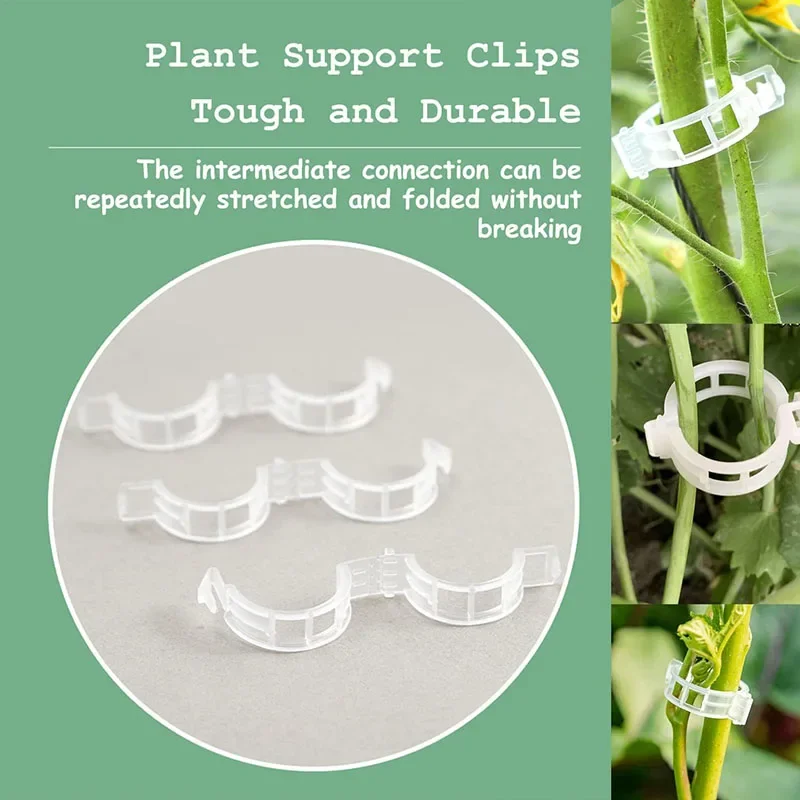 100PCS Plant Bevestigingsclips - Gardening Tools For Vines recensie en prijs