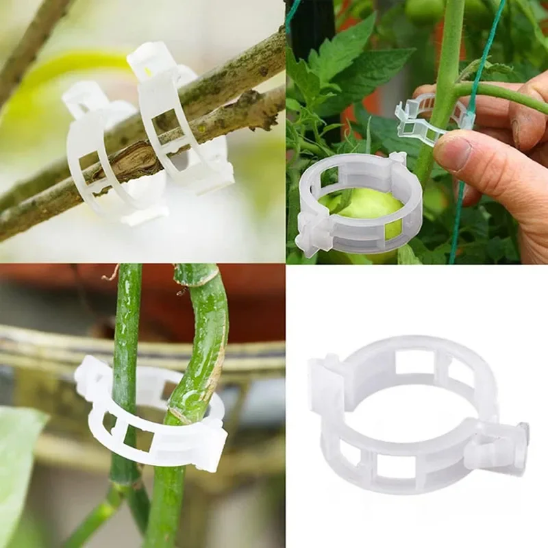 100PCS Plant Bevestigingsclips - Gardening Tools For Vines recensie en prijs