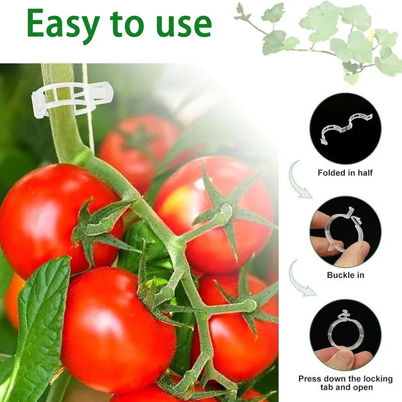 100PCS Plant Bevestigingsclips - Gardening Tools For Vines recensie en prijs