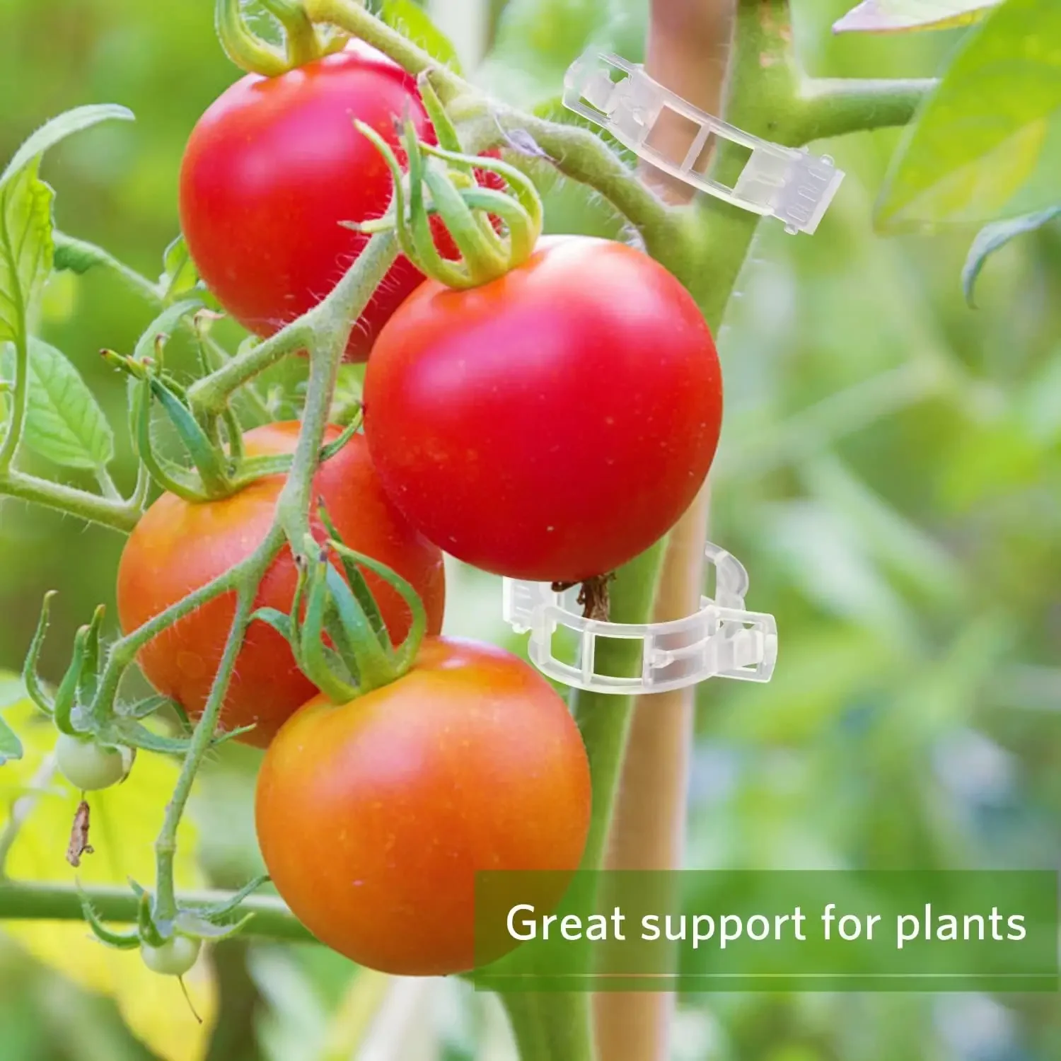 Herbruikbare plastic plantenst - Gardening Tools For Vines recensie en prijs
