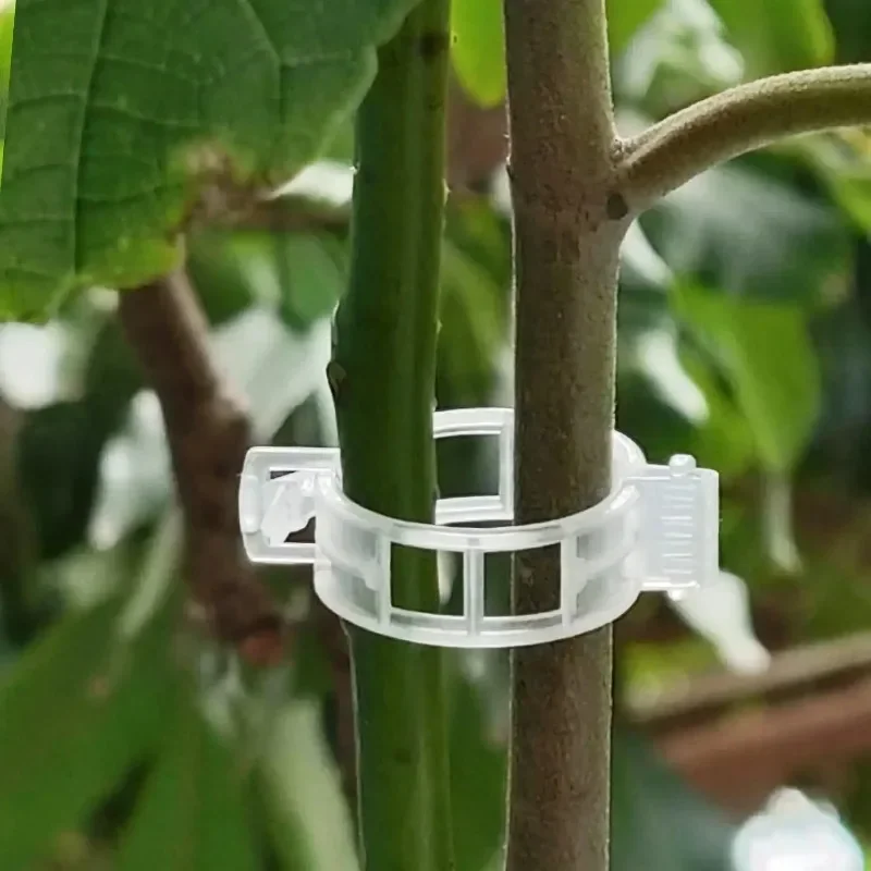 Herbruikbare plastic plantenst - Gardening Tools For Vines recensie en prijs