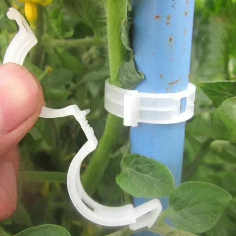 Herbruikbare plastic plantenst - Gardening Tools For Vines recensie en prijs
