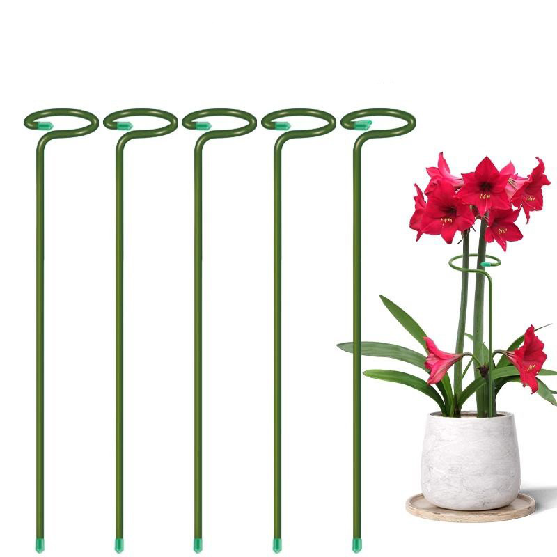 1-10 Stuks Metalen Enkele Stam - Gardening Tools For Vines recensie en prijs