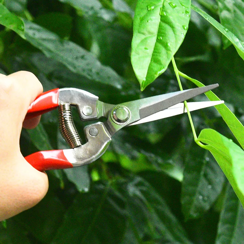 Rvs Snoeischaar Tuinschaar Hui - Gardening Tools Pink recensie en prijs