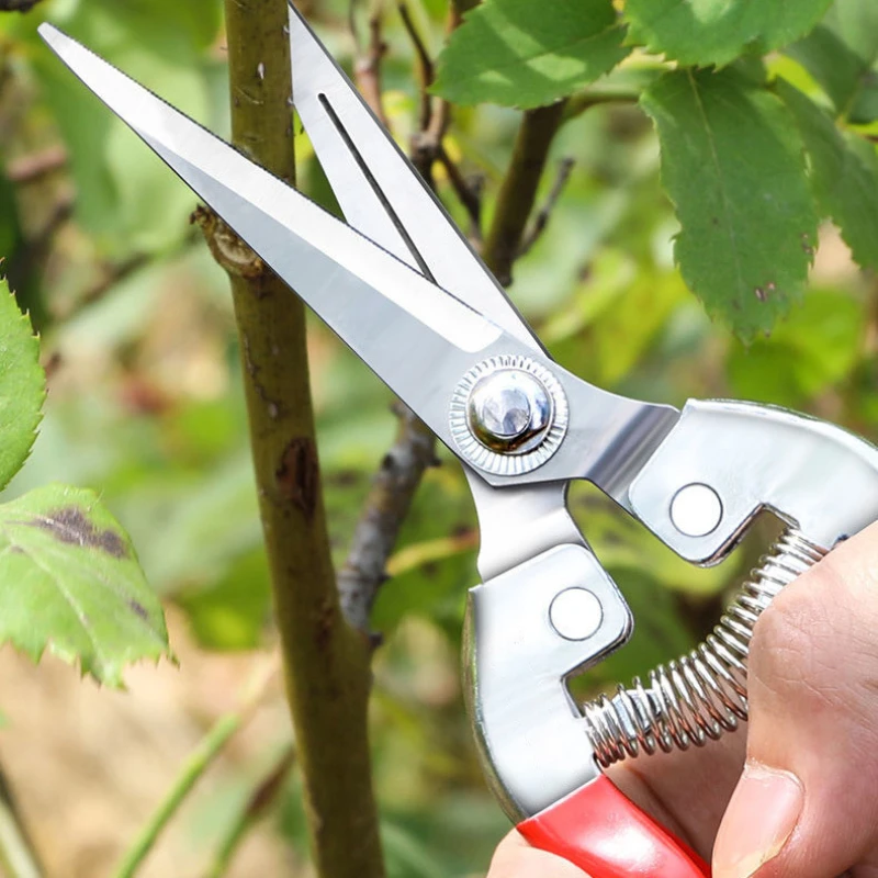 Rvs Snoeischaar Tuinschaar Hui - Gardening Tools Pink recensie en prijs