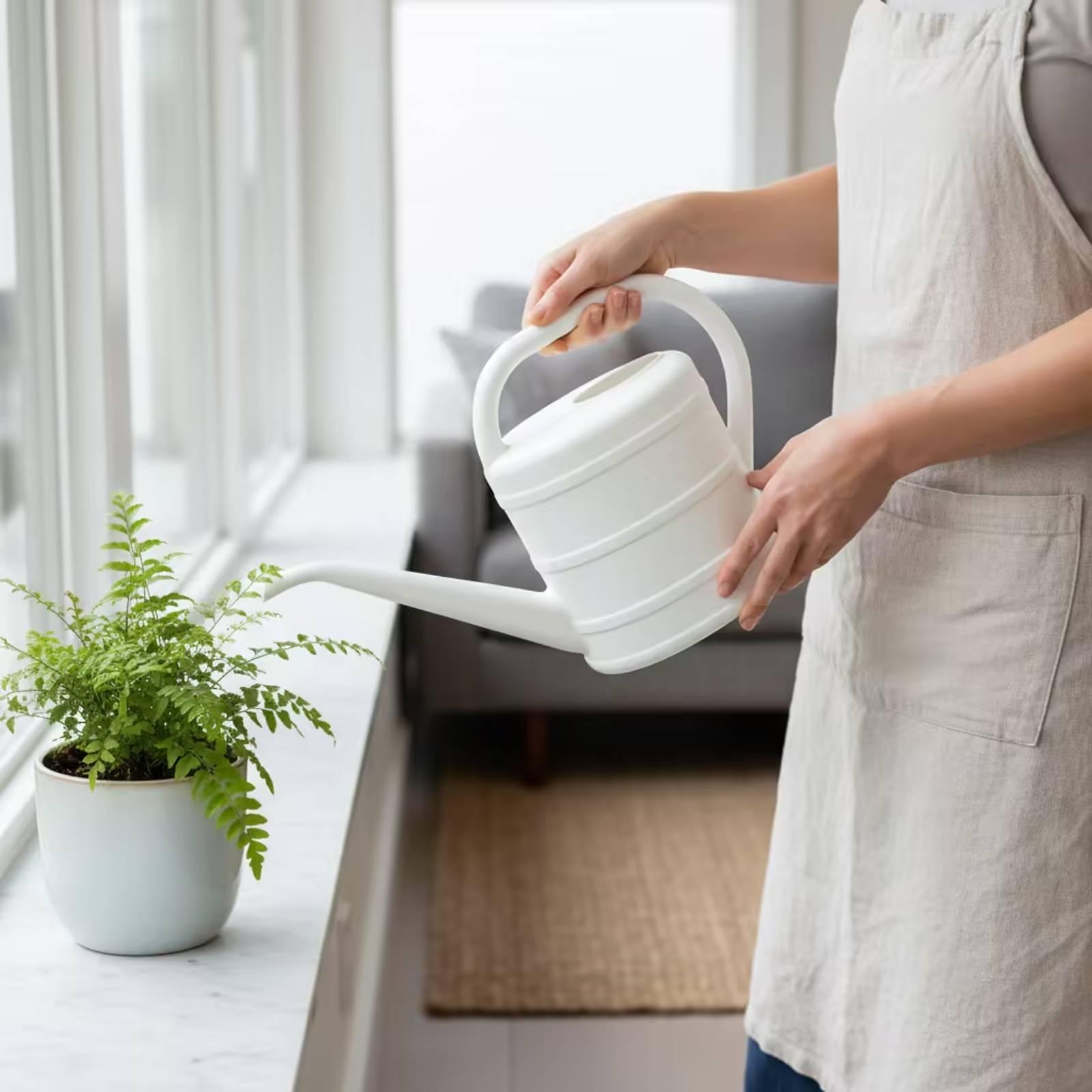 Gieter met lange tuit, makkeli - Gardening Tools Watering Can recensie en prijs