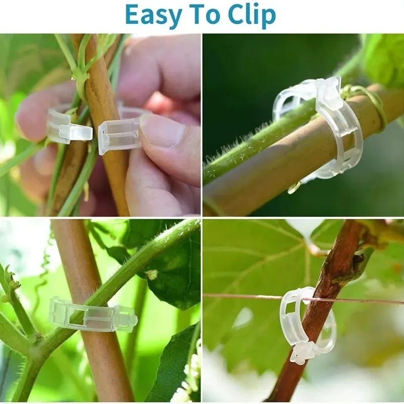 50-250 stuks plastic plantenst - Gardening Tools For Vines recensie en prijs