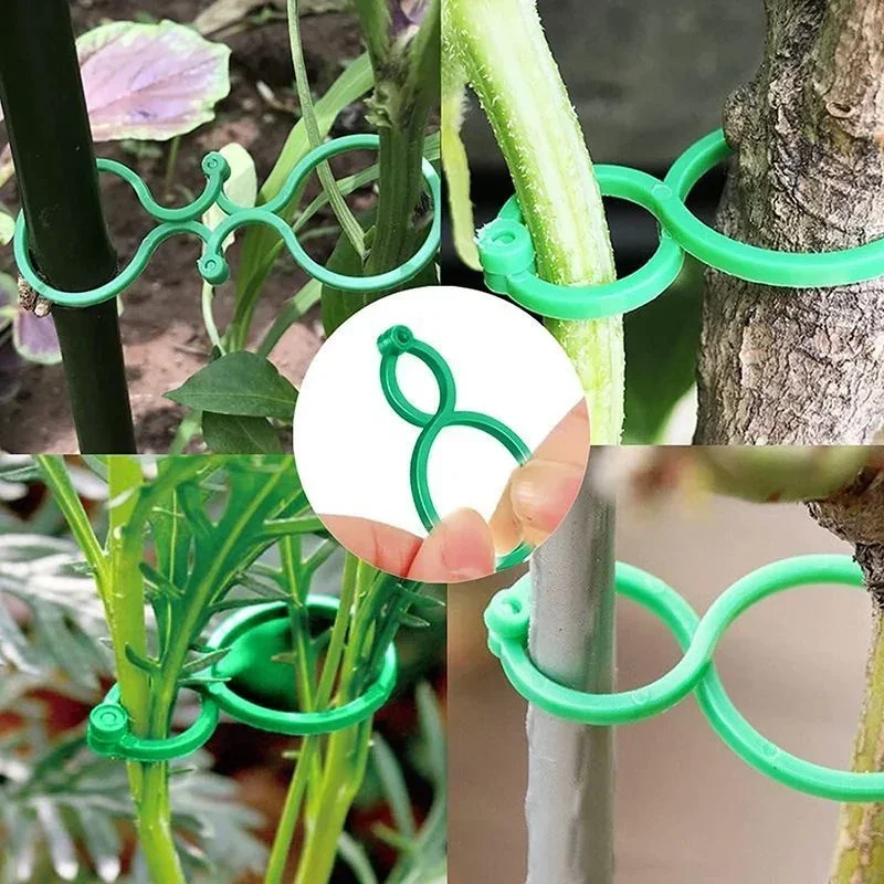 Plastic tuinplantenbindclips,  - Gardening Tools For Vines recensie en prijs