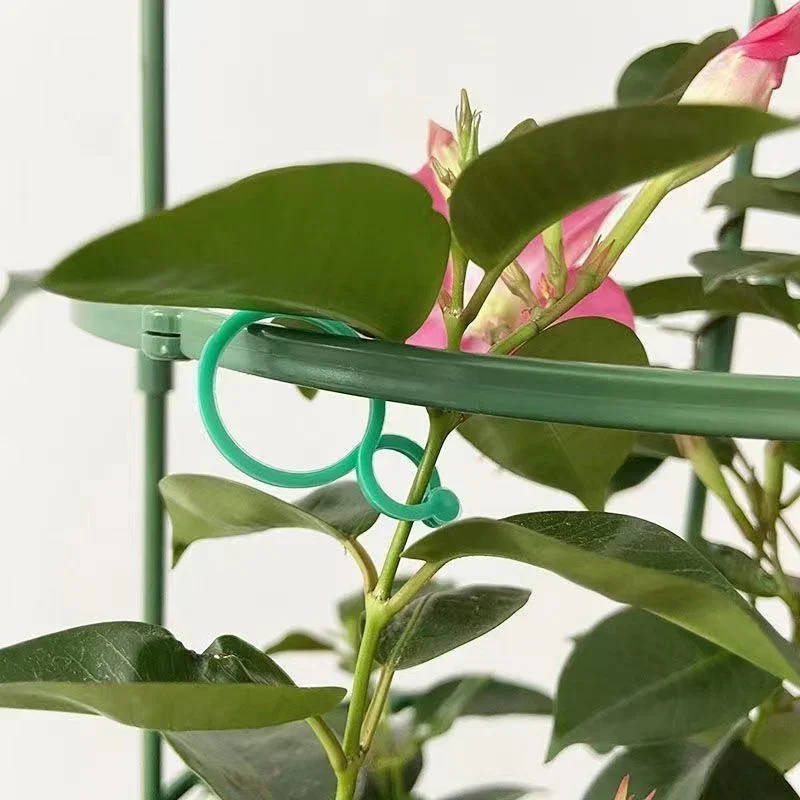 Plastic tuinplantenbindclips,  - Gardening Tools For Vines recensie en prijs
