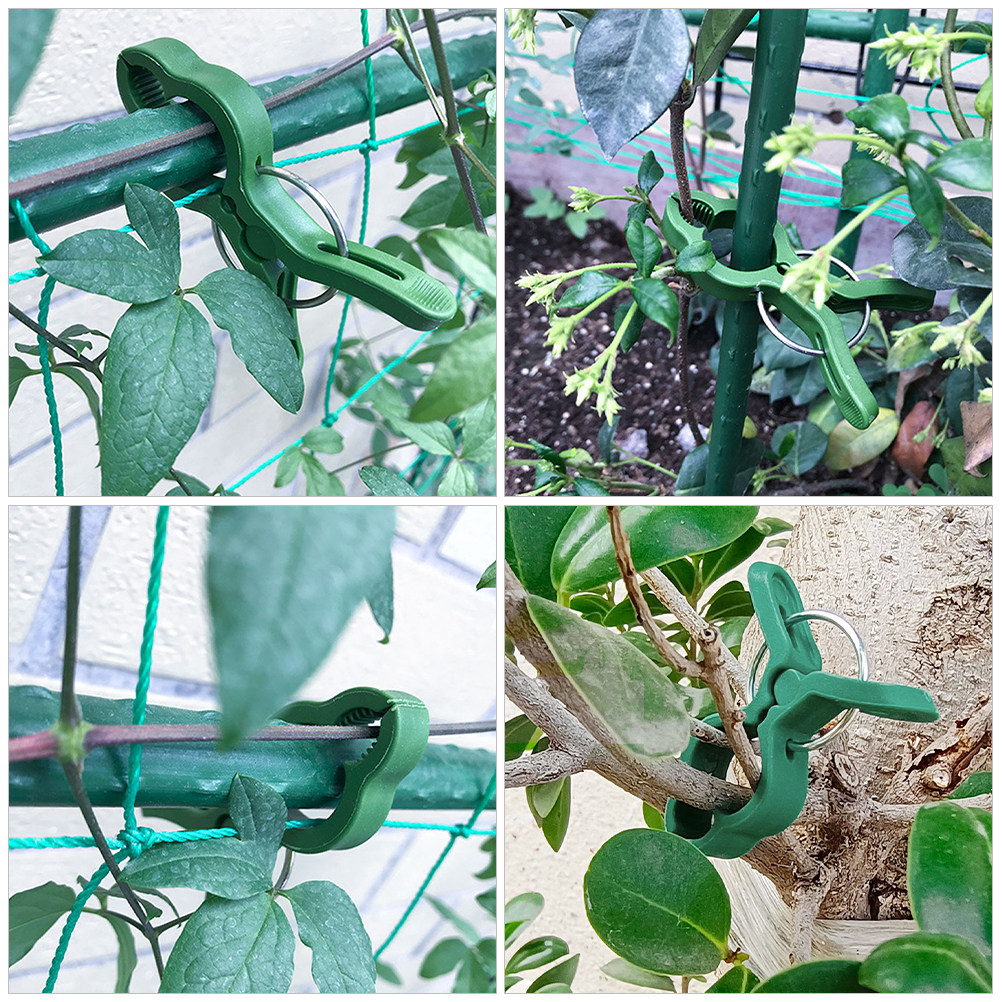 60 stuks tuinplantklemmen, pla - Gardening Tools For Vines recensie en prijs