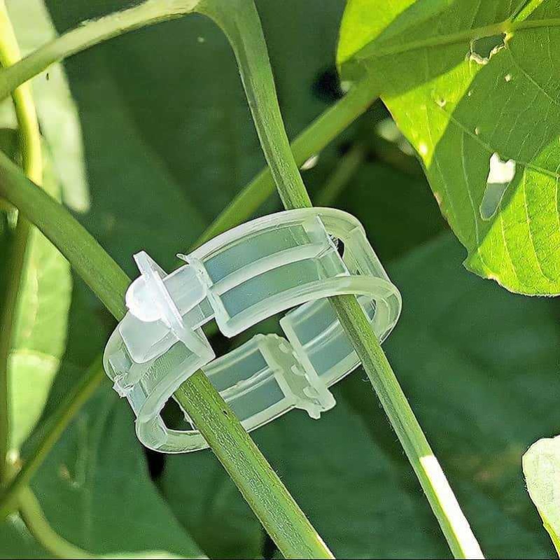 300/50PCS Plant Ondersteuning  - Gardening Tools For Vines recensie en prijs