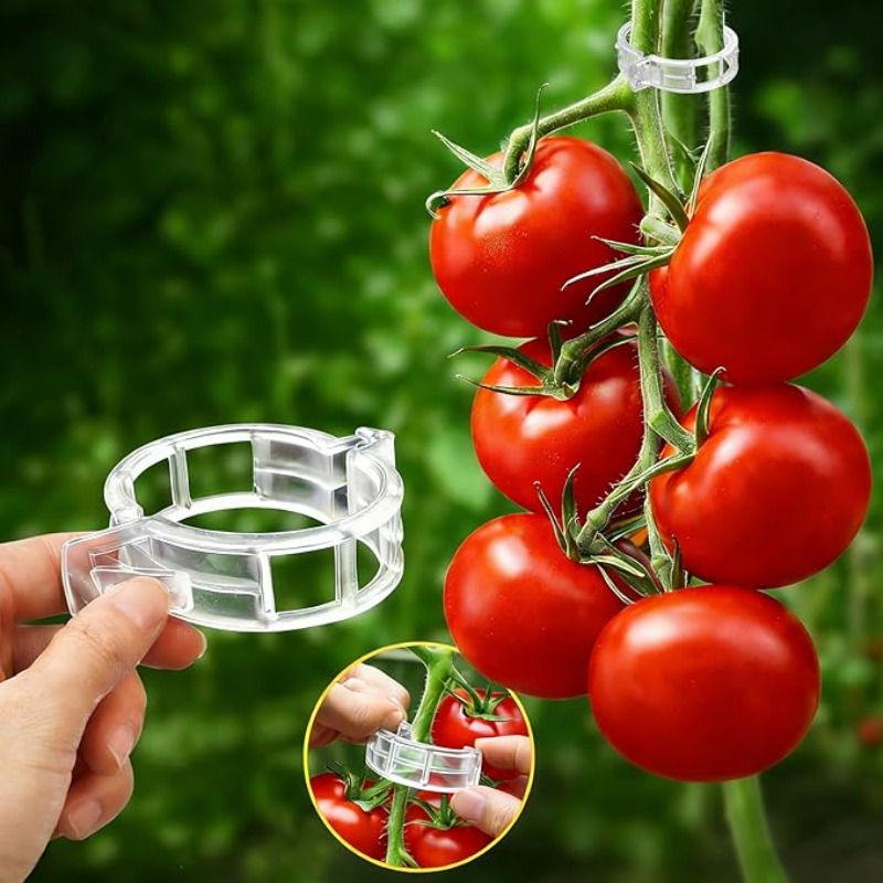 300/50PCS Plant Ondersteuning  - Gardening Tools For Vines recensie en prijs